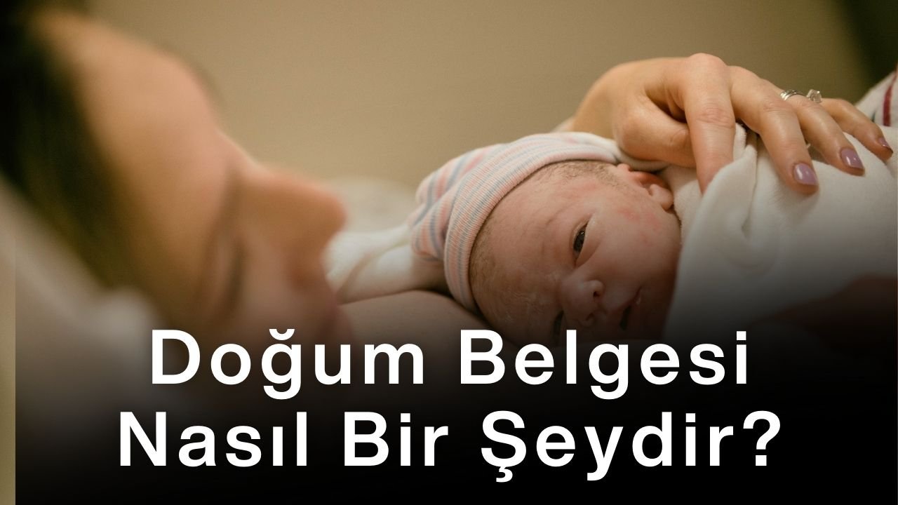 Doğum Belgesi Nasıl Bir Şeydir?