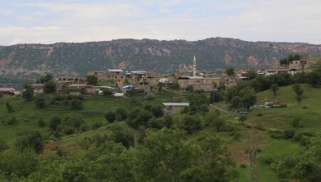 Lice Nerede? Hangi İlin İlçesidir?