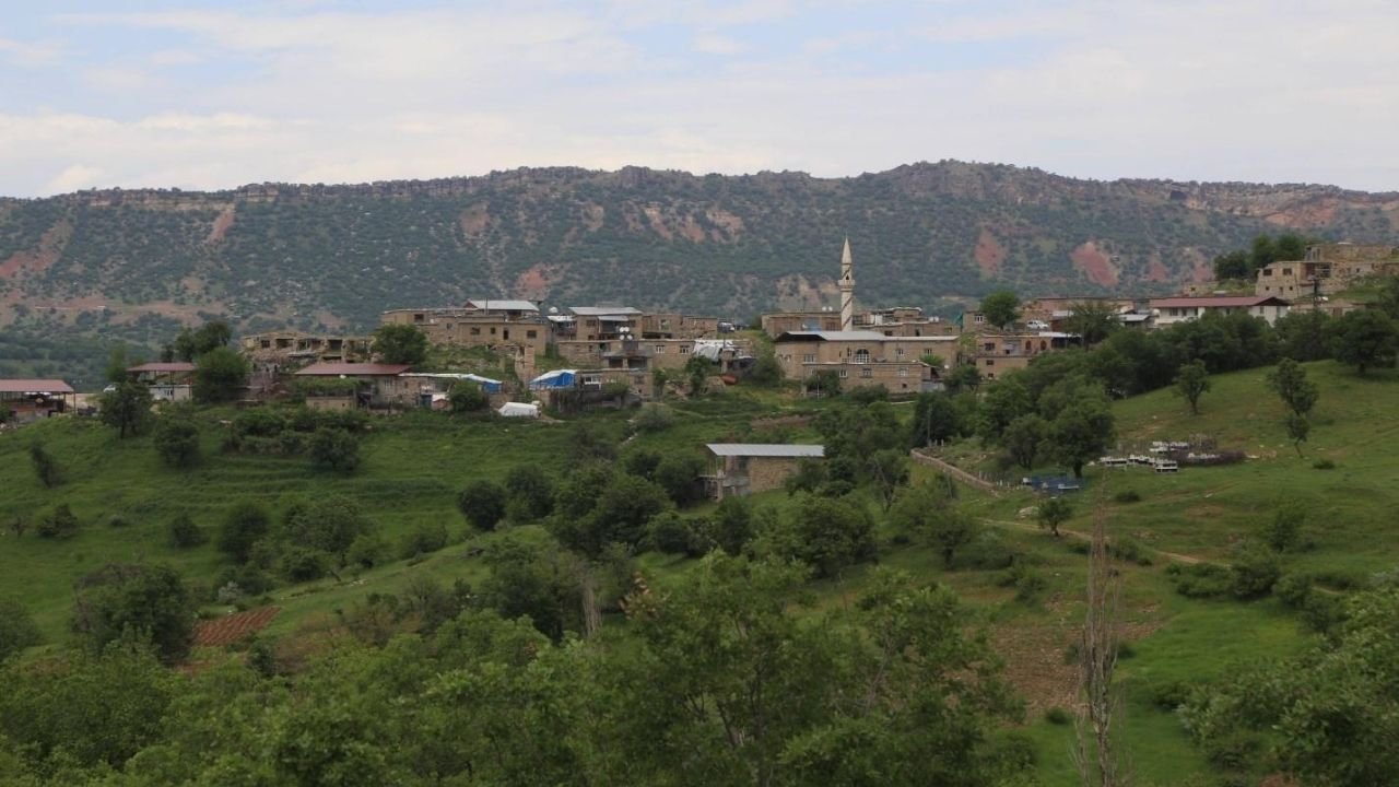 Lice Nerede? Hangi İlin İlçesidir?