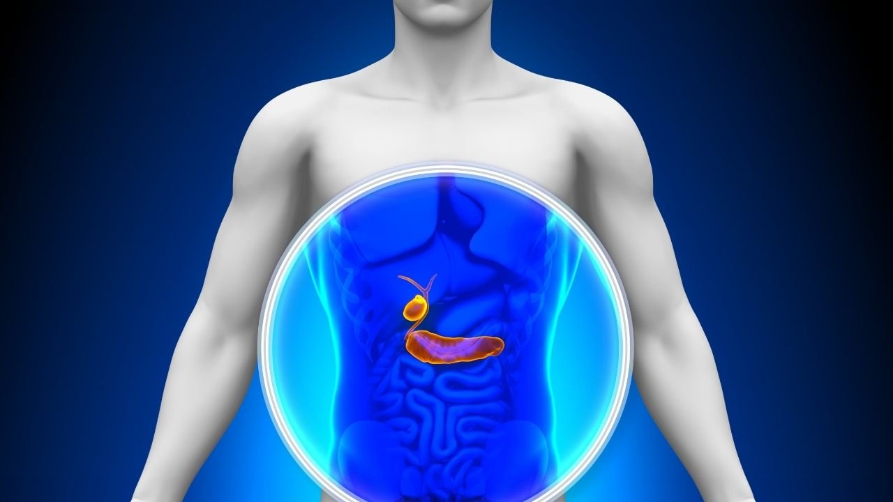 Pankreas Nerede Bulunur?