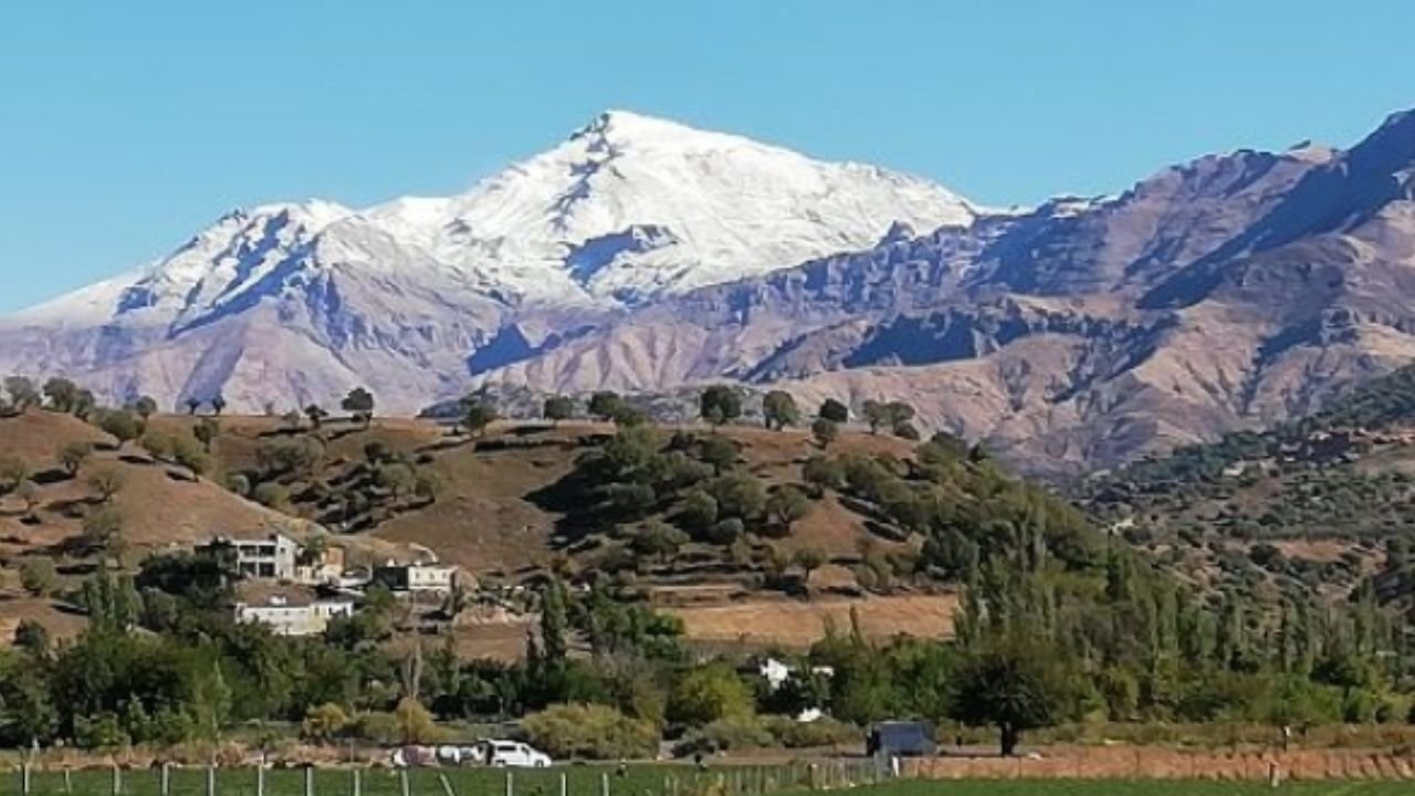 Sason Nerede? (Genel Bilgi Tablosu)