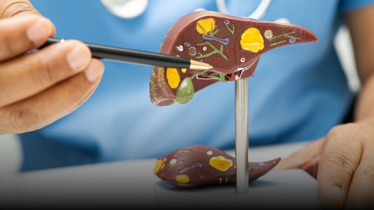 Sık Sorulan Sorular