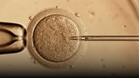 Sperm Nerede Üretilir? Kaç Yaşına Kadar Sperm Üretilir?